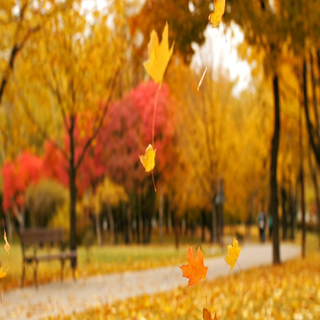 7_autumn-park