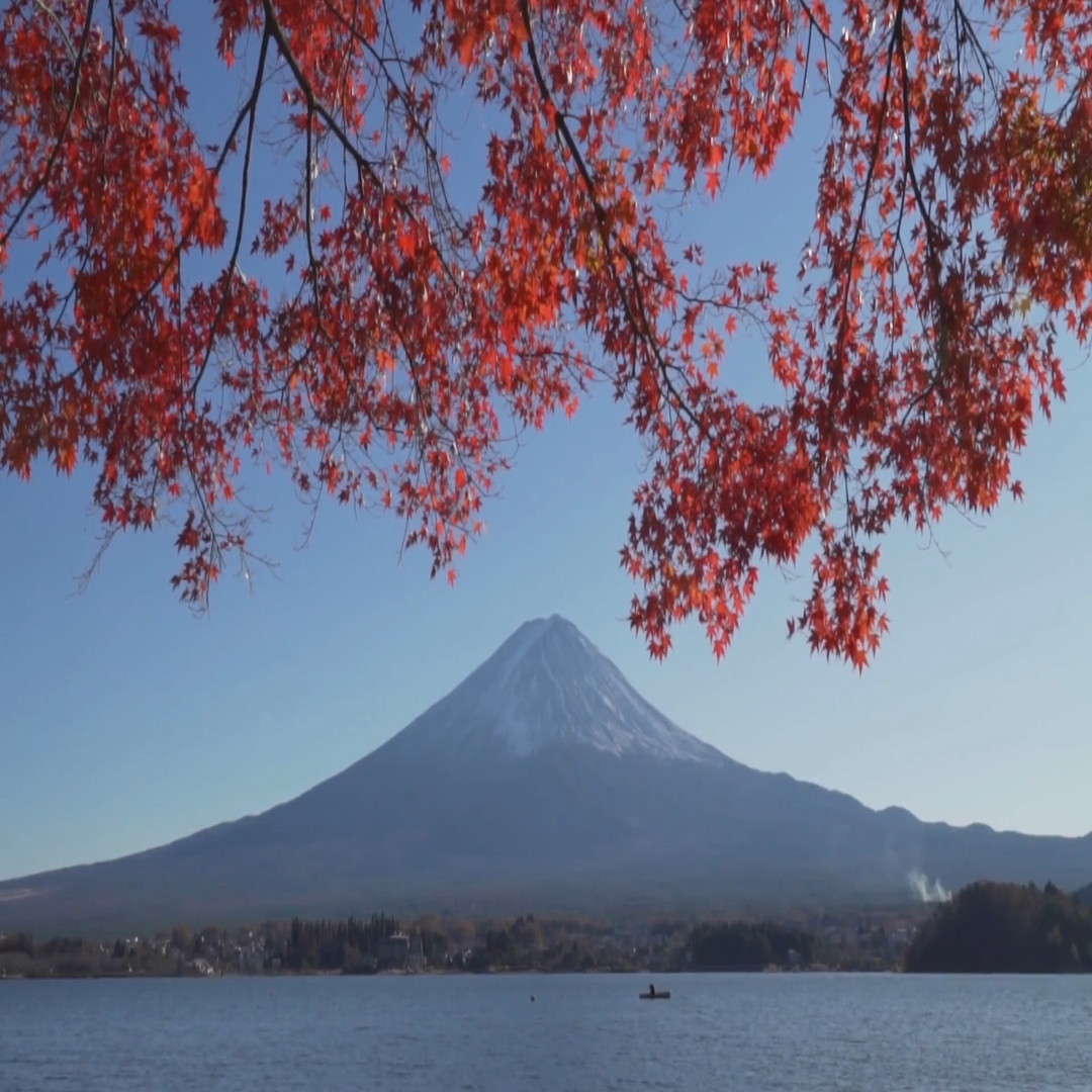 8_lake-kawaguchi-fuji-autumn